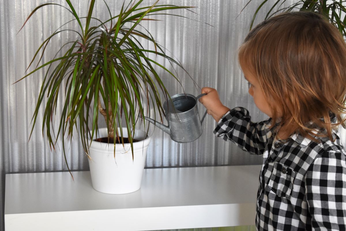 montessori doma